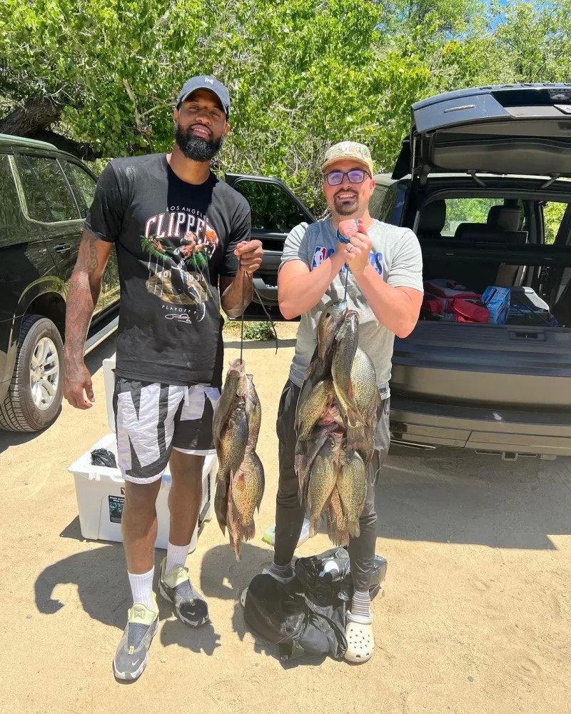 在仍不足以 在仍不足以