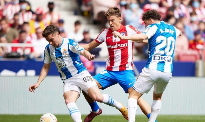 此举引发了 此举引发了