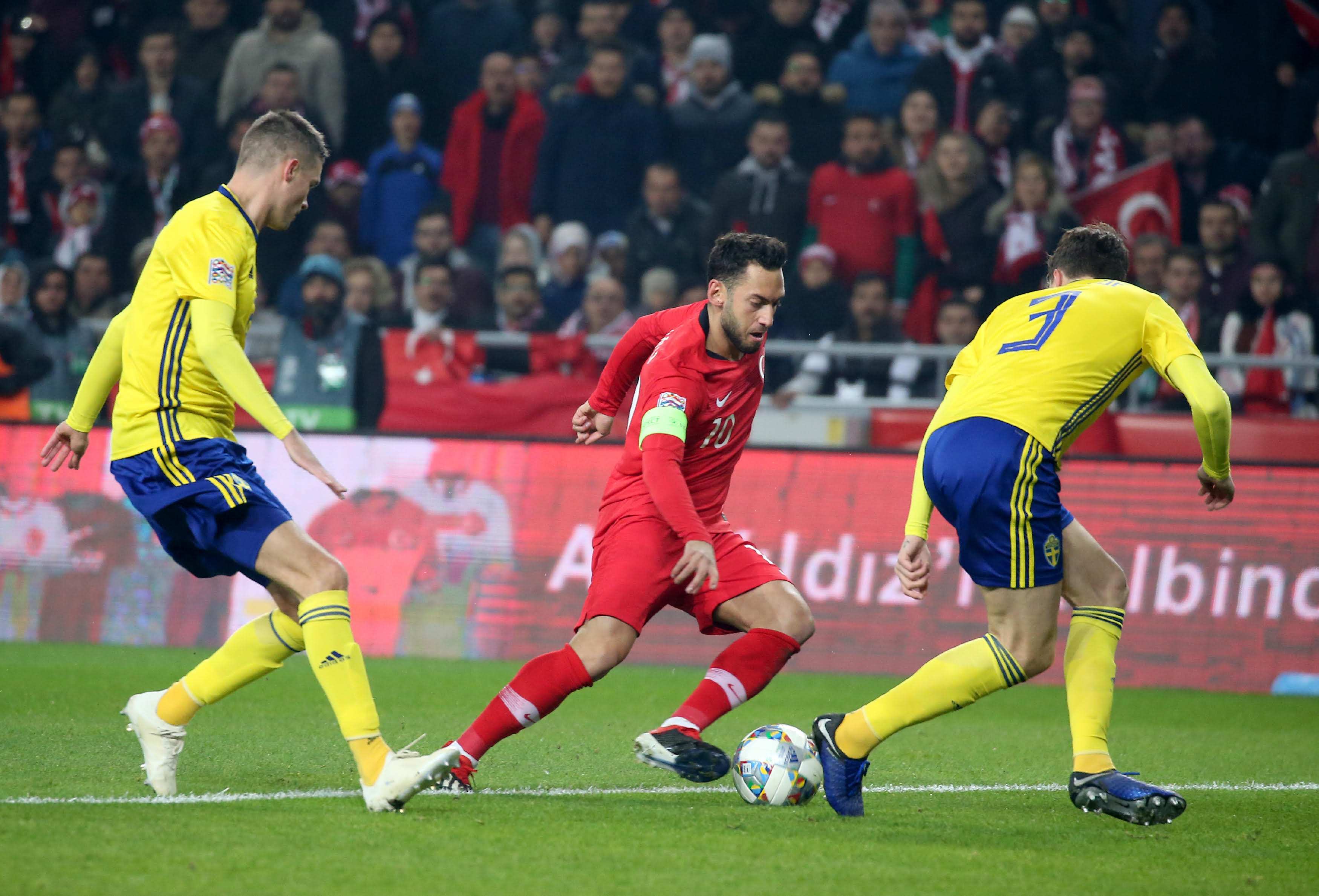 胡荷韬的 胡荷韬的