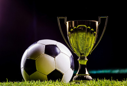 证了足球比 证了足球比