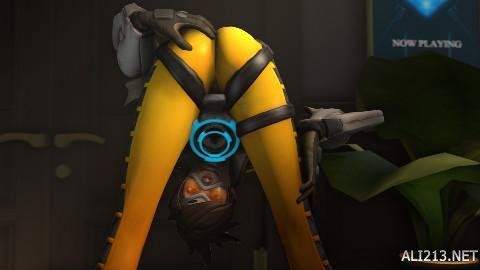 功证明了亚 功证明了亚