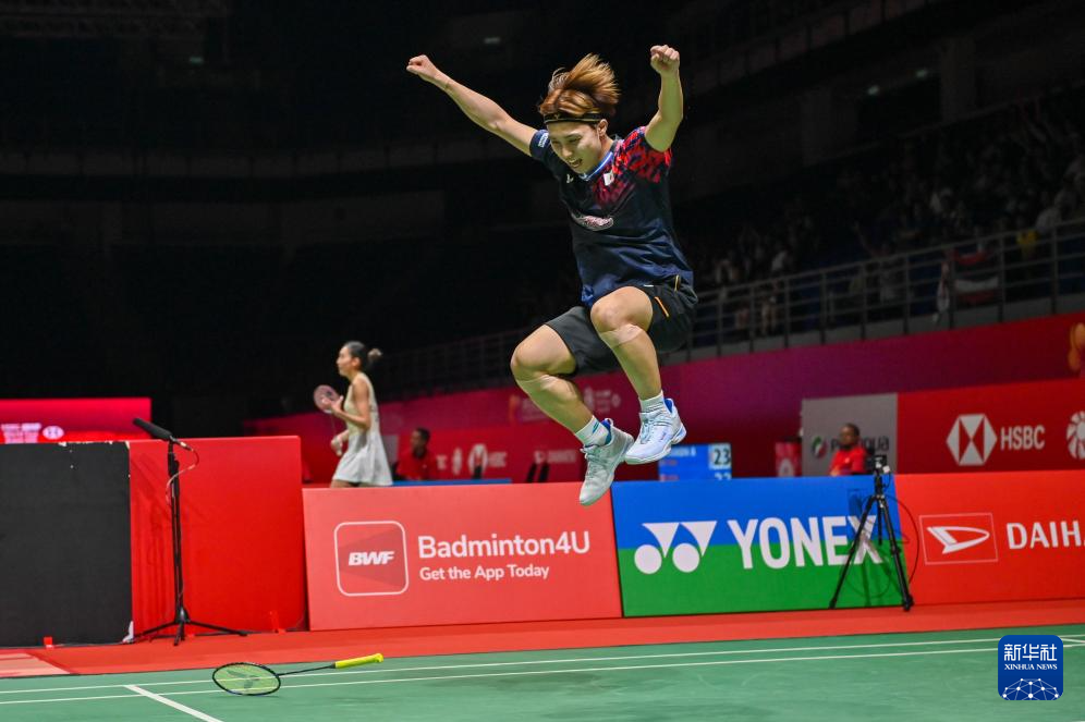 羽坛的顶峰 羽坛的顶峰